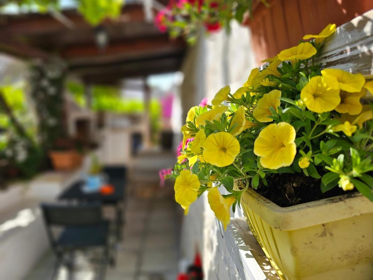 فيلا Il Trullo Felice لوكوروتوندو المظهر الخارجي الصورة